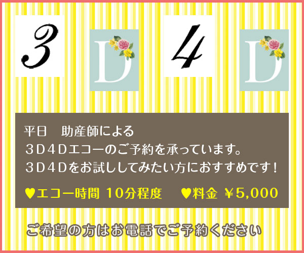 3D4D
