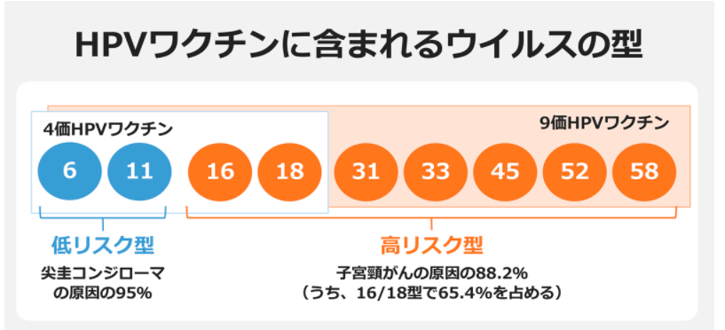 HPVワクチンに含まれるウイルの型